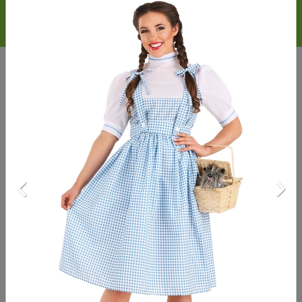 Blue Gingham Dress